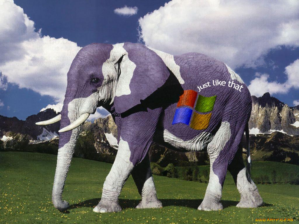 , windows, xp
